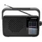 Blaupunkt Radio przenośne FM PR8BK