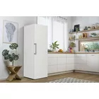 Gorenje Chłodziarka R619EEW5